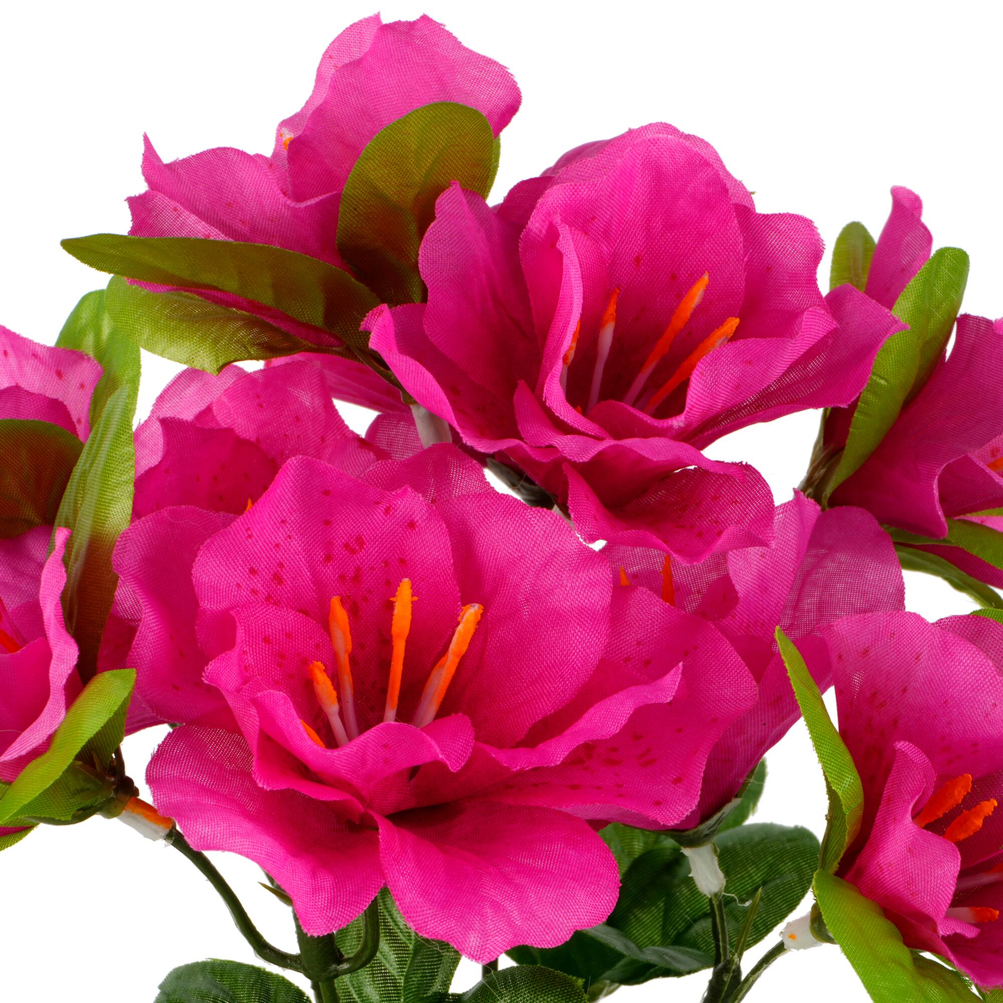 12" Azalea Bush by Ashland